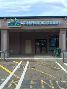 Dogcare Signs Danvers MA