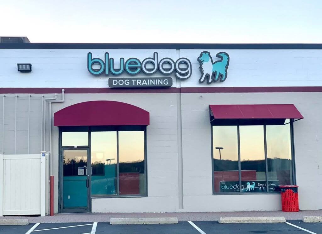 Dog Store Sign in Andover, MA