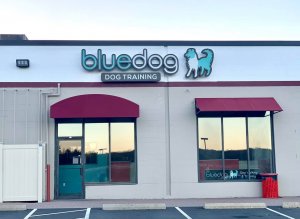 Dog Store Sign in Andover, MA